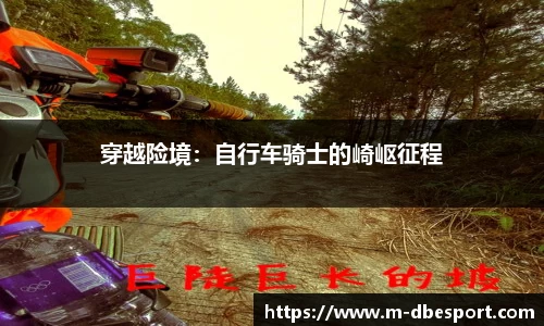 DB电竞官方正版网站